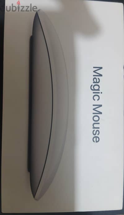 magic mouse