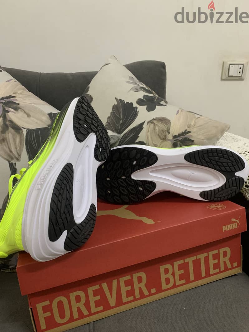 Orignal puma shoes 2