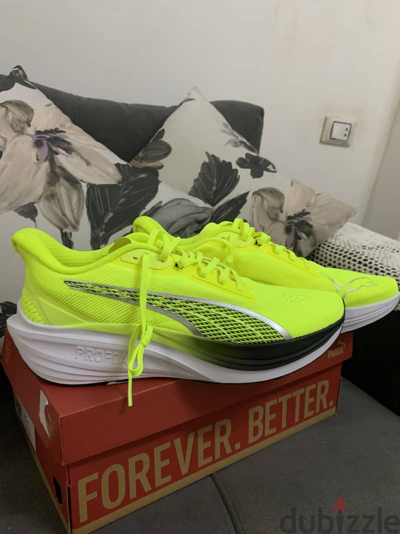 Orignal puma shoes 6