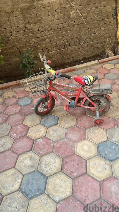 عجل وعربيات اطفال للبيع