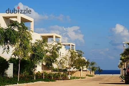 لقطة في هاسيندا وايت! شاليه أرضي 3in1 مساحة 240م وجاردن 400م | صف 6 من البحر | 3 غرف ماستر + ناني + سائق وفستيير