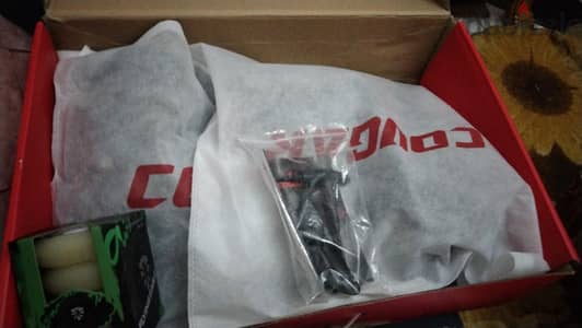 Skate cougar 509