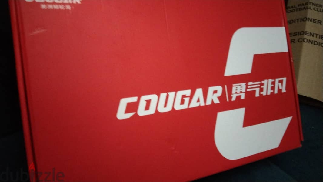 Skate cougar 509 1
