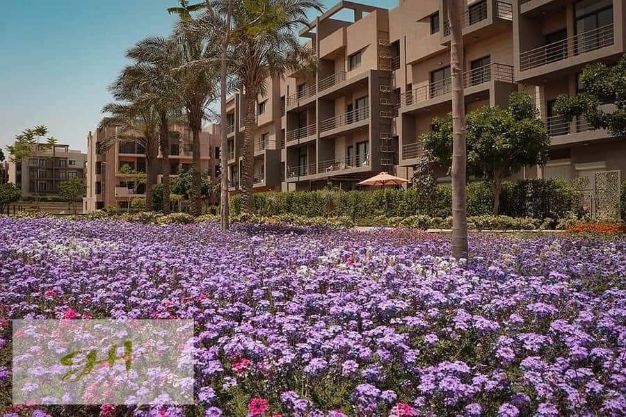 شقة بـ٣ غرف نوم في فيفث سكوير المراسم، صورة ٦ من ١١
