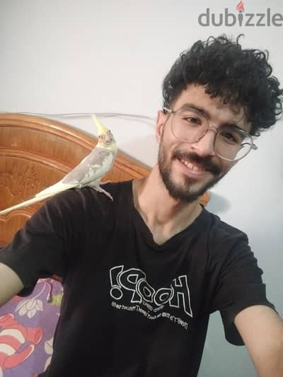 ذكر كوكتيل مصبع أليف عمر 3 شهور ونص حجم وصحه ممتازه