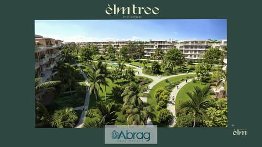 88 sq m Office in Elm Tree with a 2.5% Down Payment and 7-Year Installments