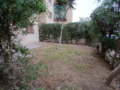 Apartment for rent in Sheikh Zayed, Future Buildings, Ground floor with garden