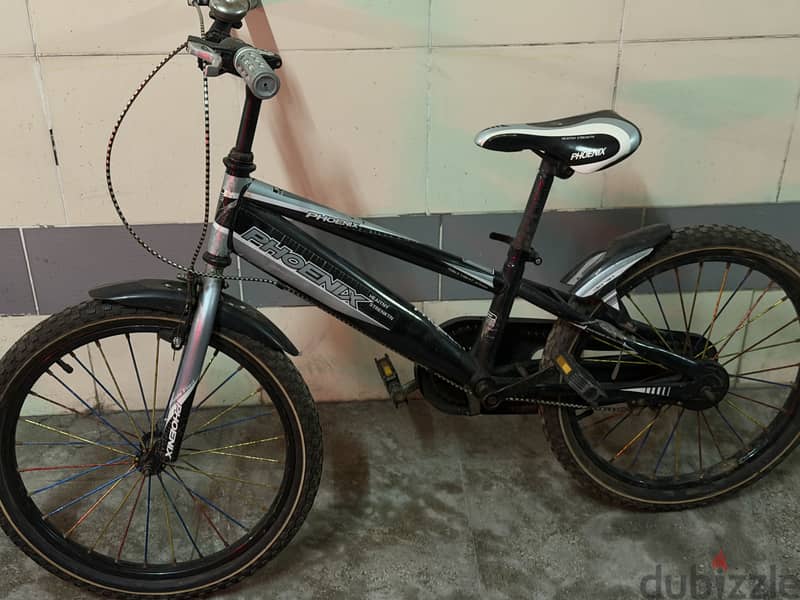 Phoenix children’s bicycle 1