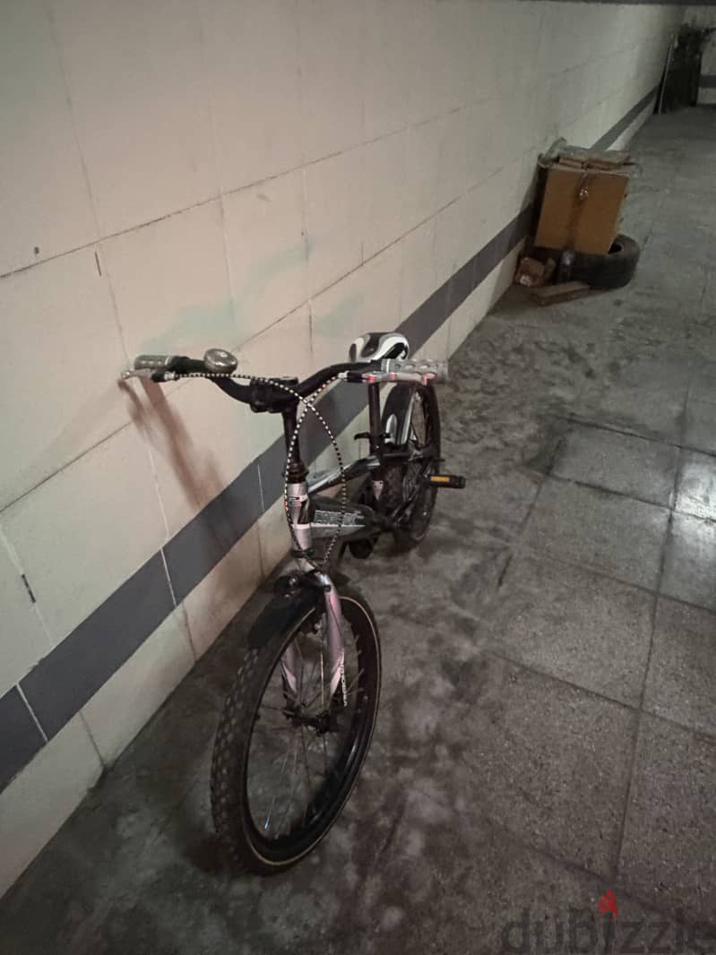 Phoenix children’s bicycle 2