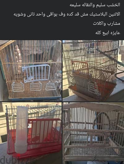 قفص عصافير