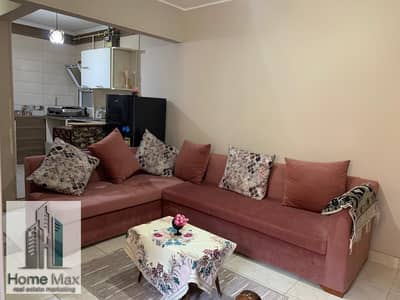 Furnished apartment for rent daily and monthly in Badruddin, Hay 16, Sheikh Zayed