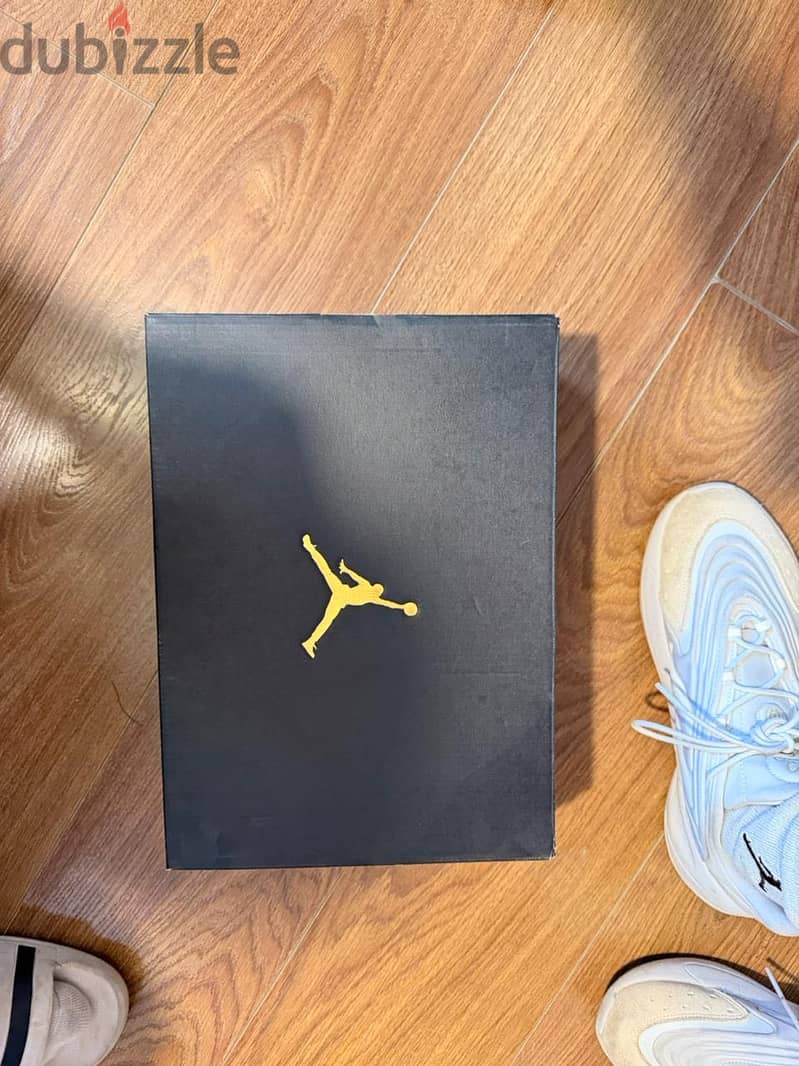 Nike Air Jordan (size 44 3