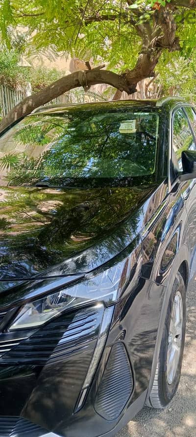 Peugeot 3008 2021