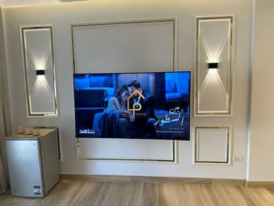 Furnished apartment rent in Mountain view ICity
