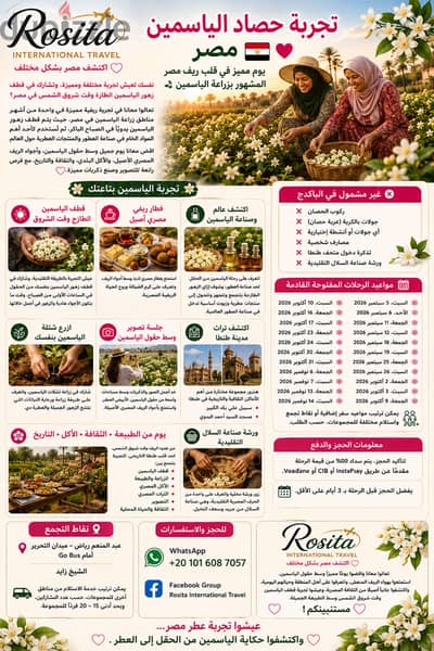 تجربة حصاد الياسمين
