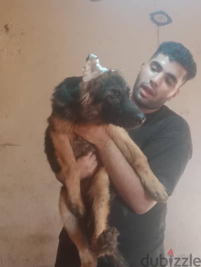 اقوي واضخم جرويه جيرمن