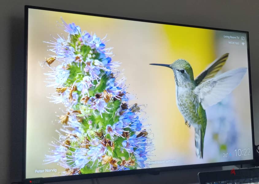 Haier TV 43 inch 1