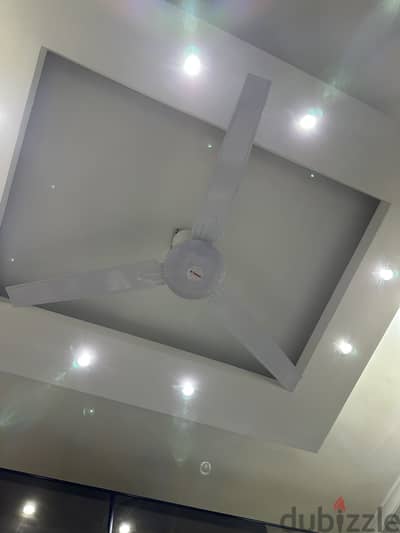 مروحه سقف فريش