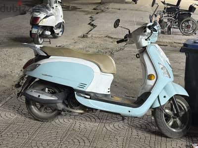 اسكوتار