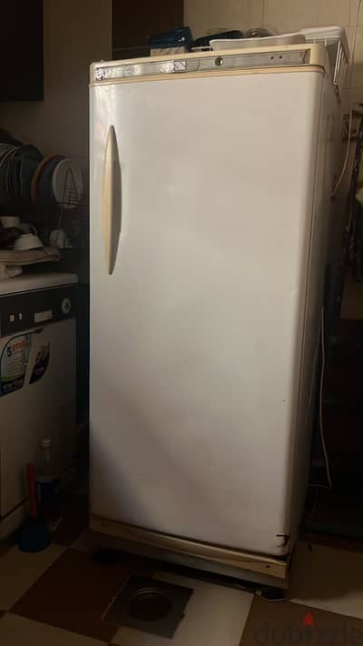 ديب فريزر الكتروستار ٦ درج — Deep Freezer Electrostar