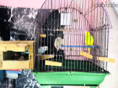 اص بي كل مشتملات وي اص تاني شغال باردو وي ذكر شغال مشالله
