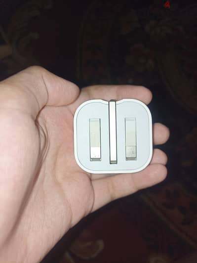بلجه ابل اصلي وارد الكويت
