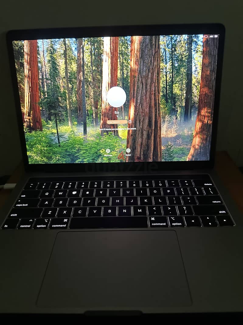 Macbook pro 2019 13 inch 4