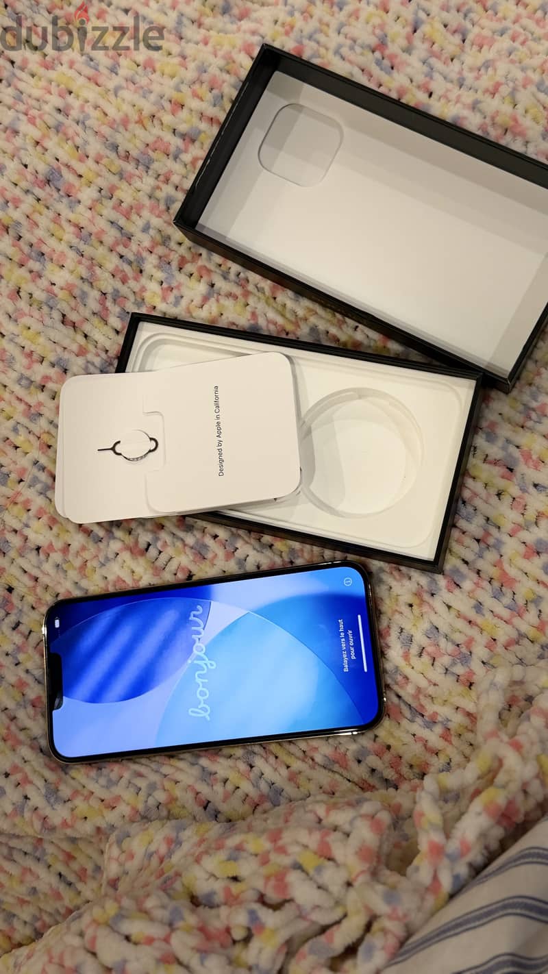 Apple - iPhone 13 Pro Max 1