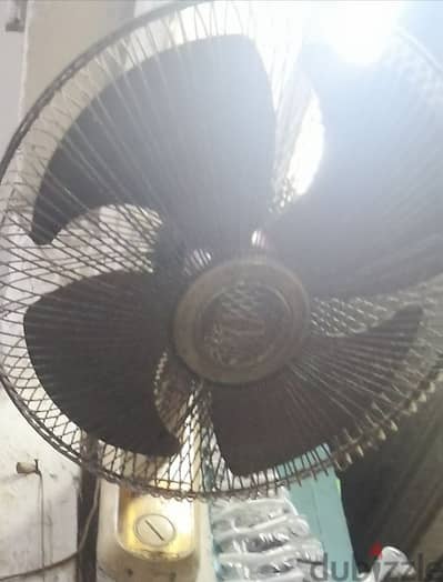 توشيبا العربي اصلي