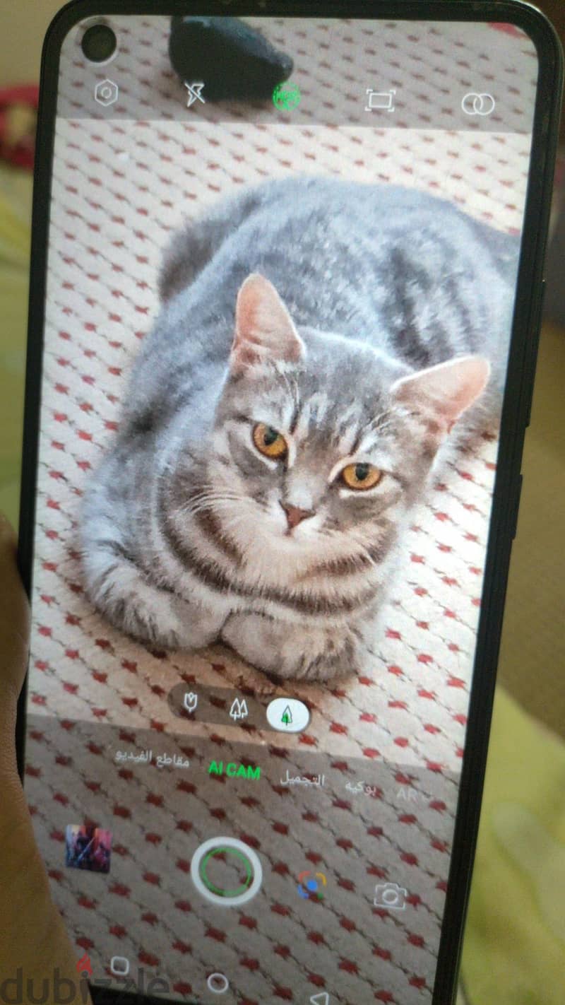 Infinix S5 3