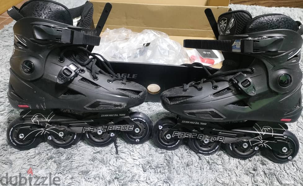 skate 1
