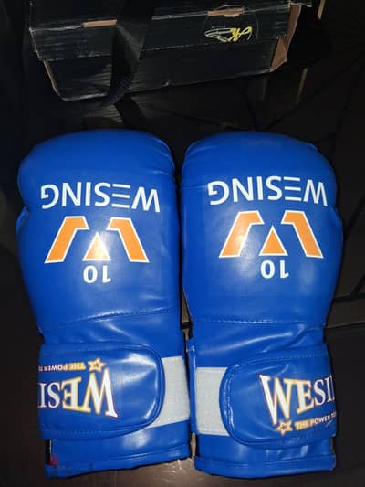 kickboxing gloves