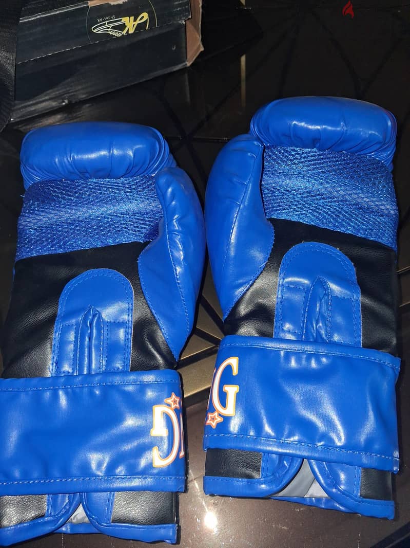 kickboxing gloves 1