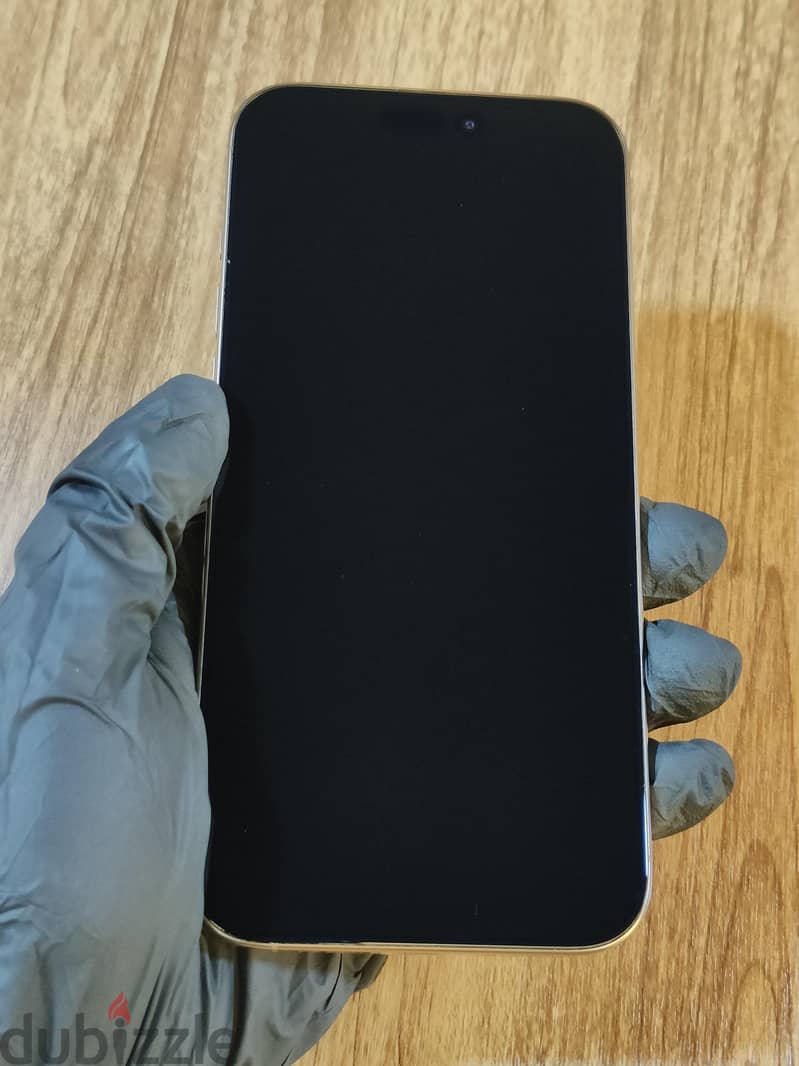 iPhone 16 Pro Max 1
