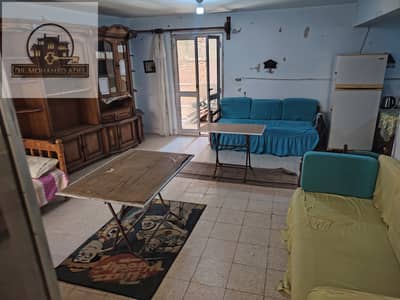 Apartment for daily rent 6 beds next to Oxygin beach honeymoon Al-Baitash Al-Ajami Alexandria next to the Officers' Club