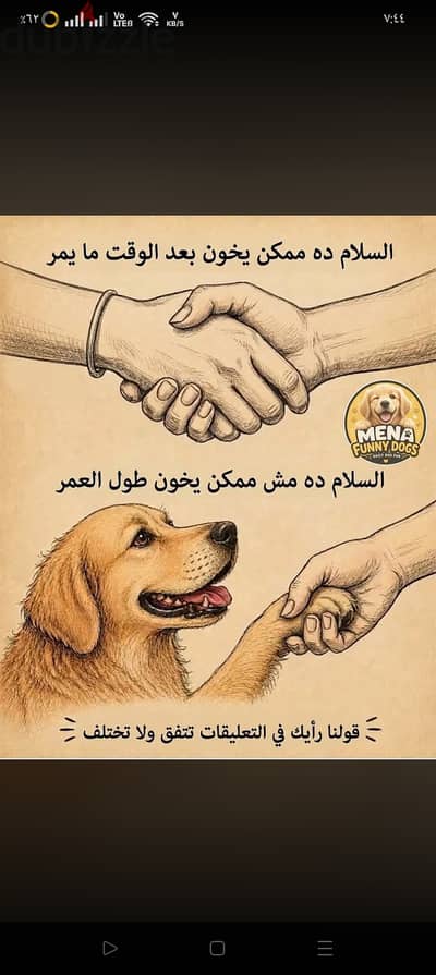 مجموعه شيتزو بيور