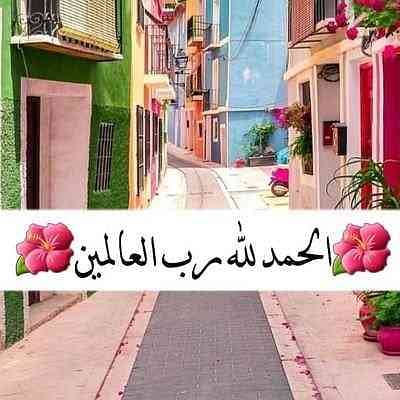 محمد عبد المنعم