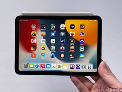 Ipad mini cellular & wifi 256g