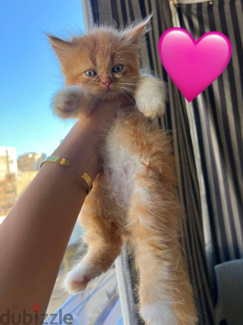 بنات واولاد 18