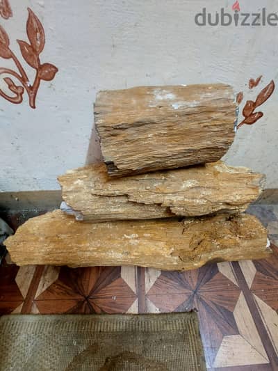 قطعة خشب متحجر اثري نادر تحفة ( Agate / Quartz / Petrified Wood )