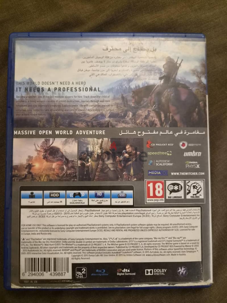 The witcher 1