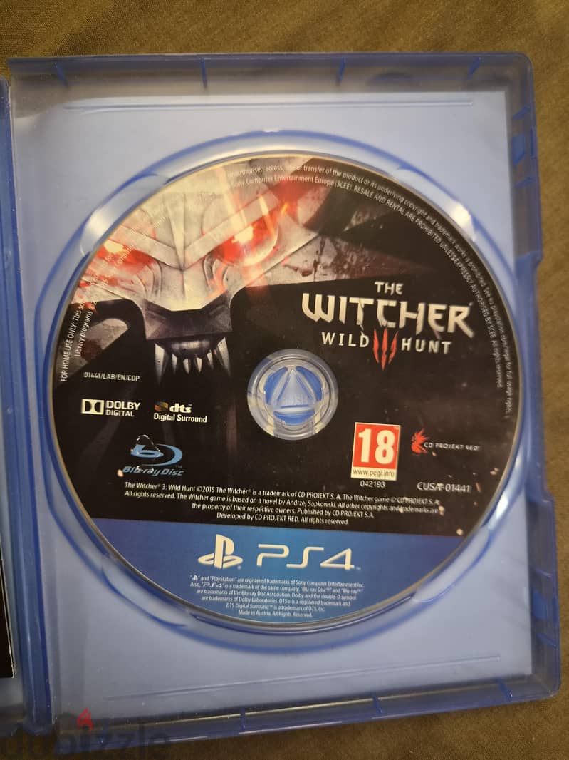 The witcher 2