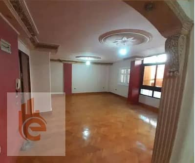 Apartment 130 in Smoha / Mustafa Kamel Street