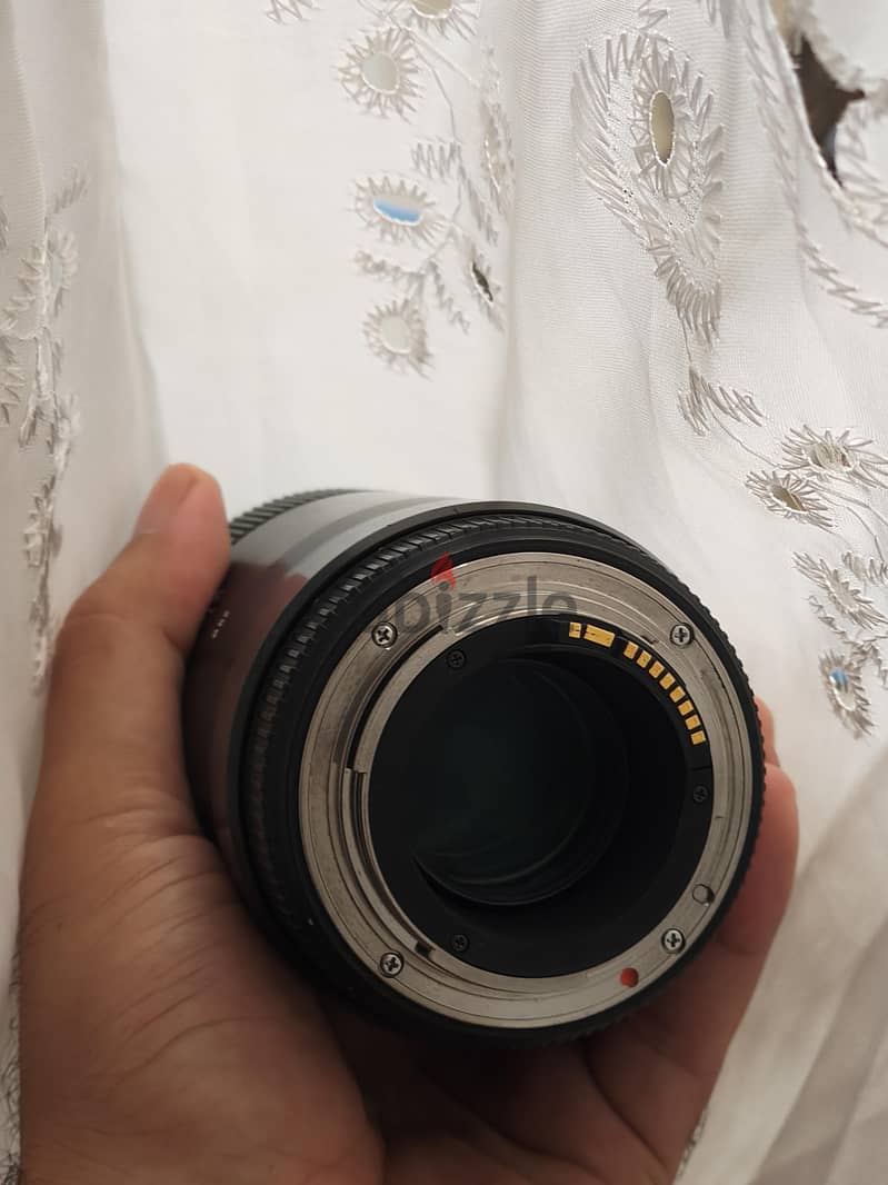 sigma 105 mm macro for Canon 3