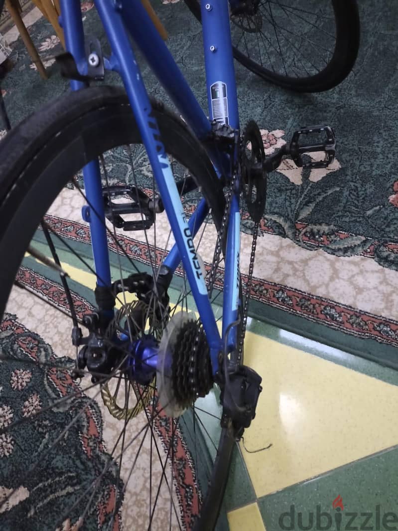 trinx road tempo 2.1 zeroo 2