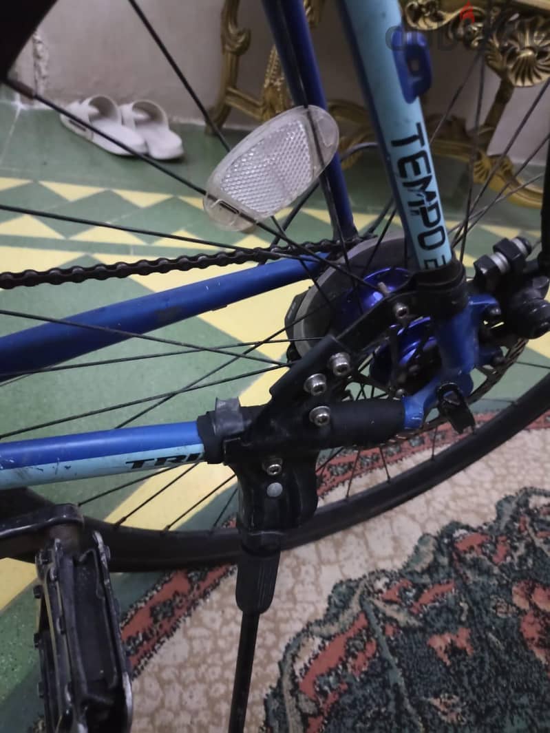 trinx road tempo 2.1 zeroo 3