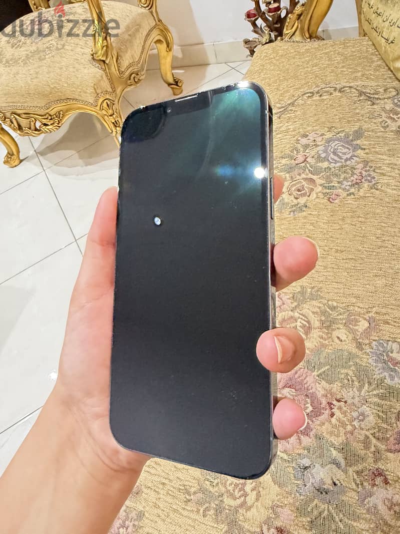 Apple - iPhone 13 Pro Max 1
