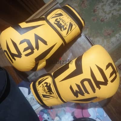 2 جلافز (بوكس ، MMA)