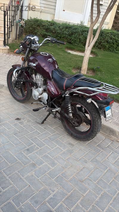 هوجان cmg ٢٠٢٢