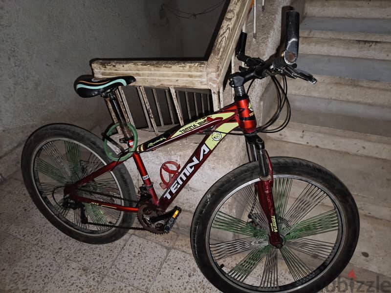 temna bike 1